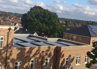 Solar Panel Cleaning